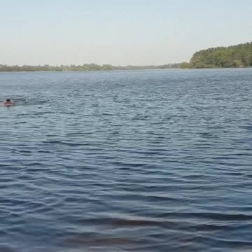 Butterfly swimming technique
