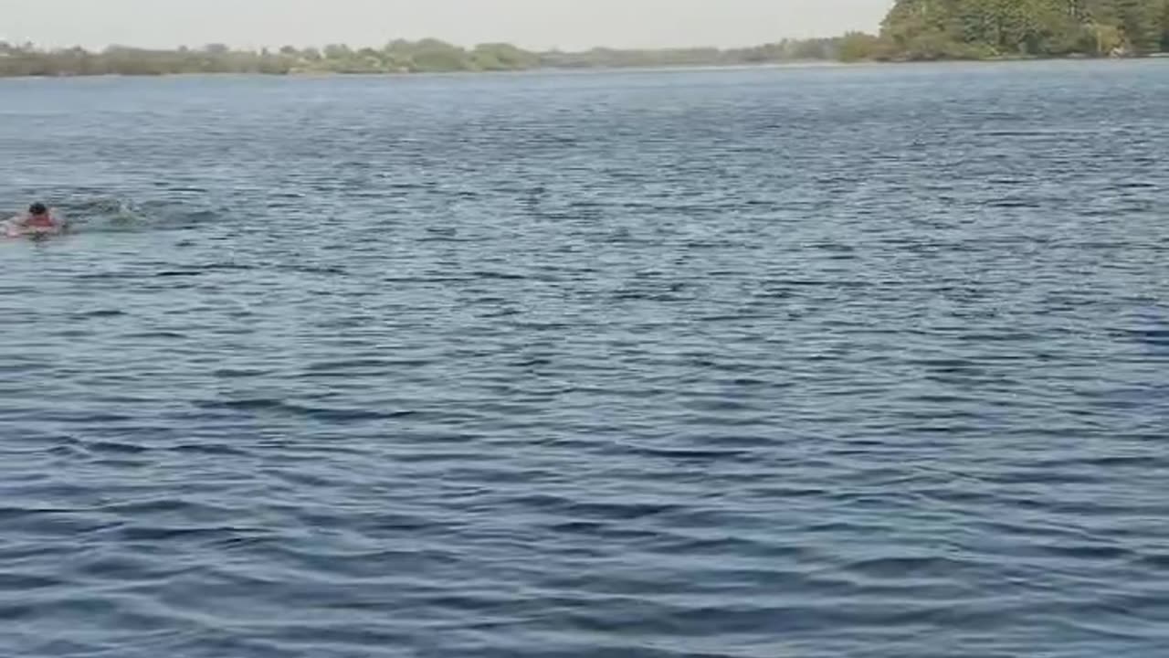 Butterfly swimming technique