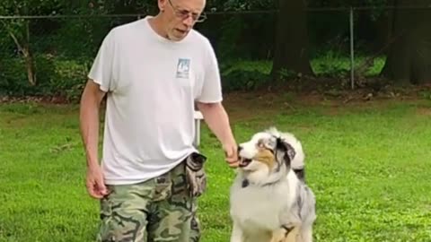At-Ease Cue short