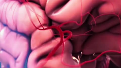 How Blood Clots Are Removed from the Brain (3D Animation)