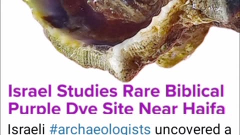 🇮🇱 Rare Biblical purple dye site, discovered by Israeli Archaeologists, near Haifa in Israel