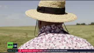 RT DE | 24/7 Live-TV
