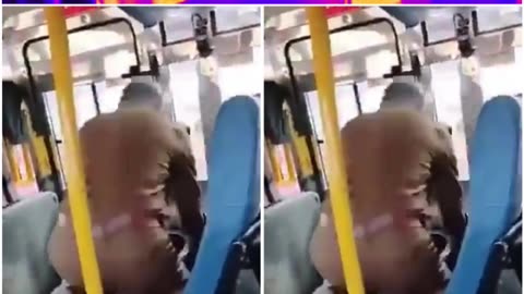 Karnataka RTC Bus Stopped for Namaz, Video Sparks Outrage