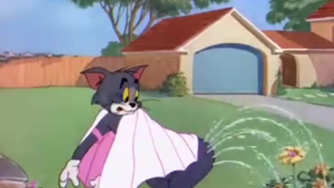 Tom and jarry funny vidieo