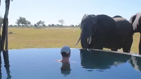 Hwange National Park