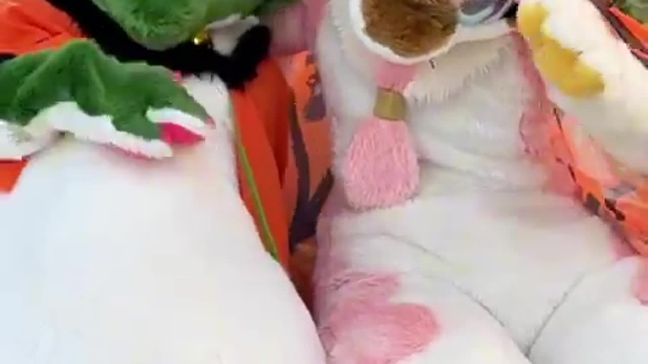 .