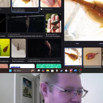 Medabot Thoughts: Tanboujar