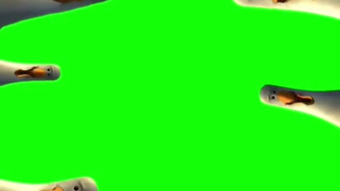 Candace Just Claimed Trump Killed Charlie — Comedy