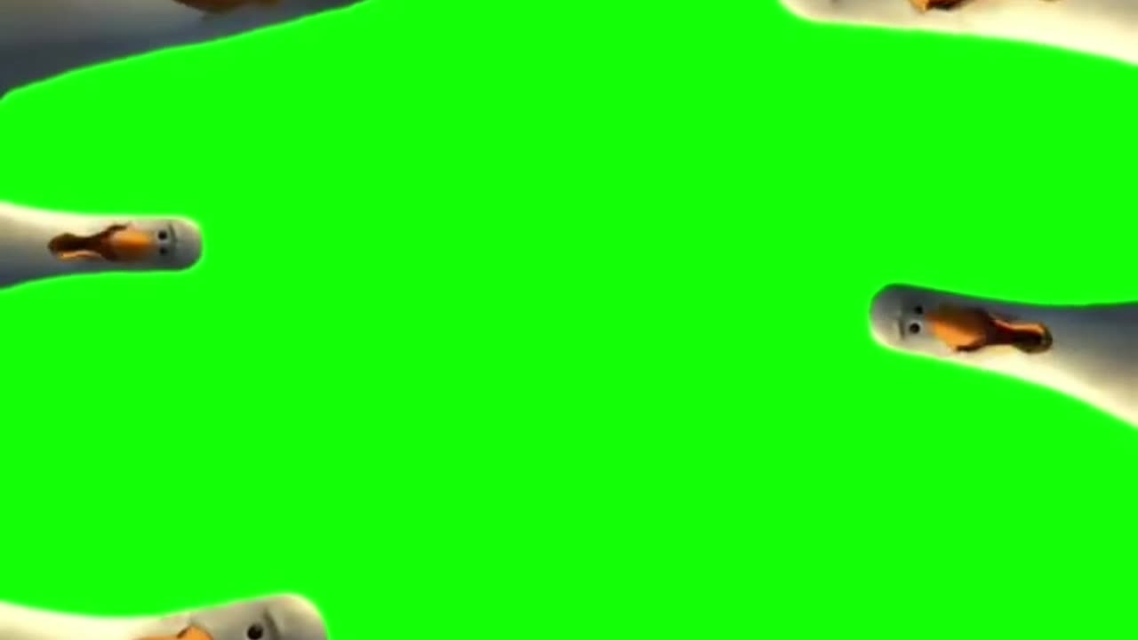 Candace Just Claimed Trump Killed Charlie — Comedy