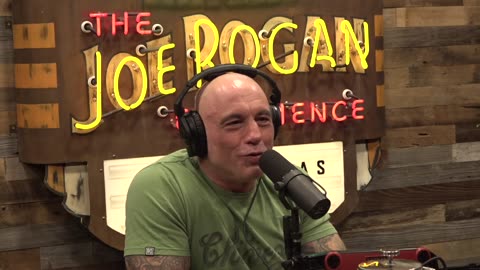 Family Friendly Joe Rogan Experience #2429 - Tom Segura