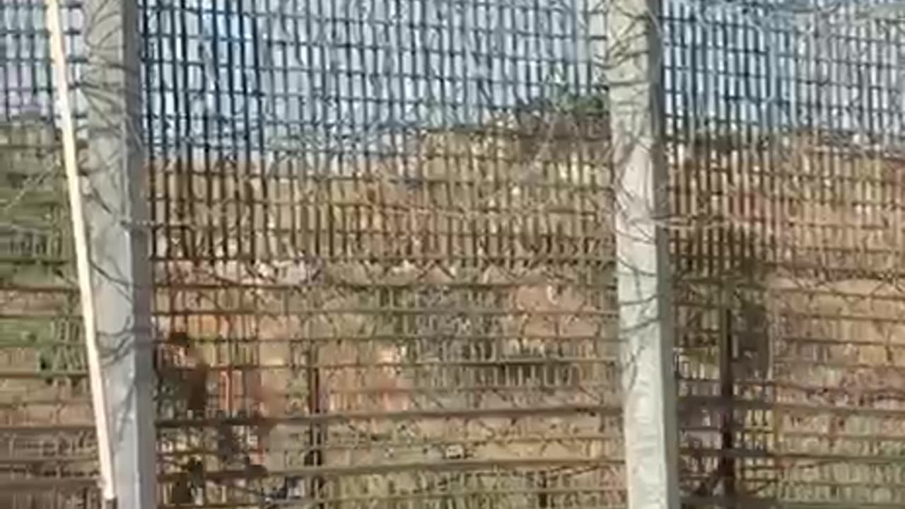 The Moment Dozens of Israeli Druze Crossed the Border into Syrian Territory