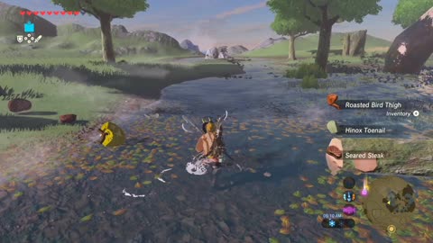 Tawa Jinn Shrine Side Quest – Zelda: BOTW (Switch 2)