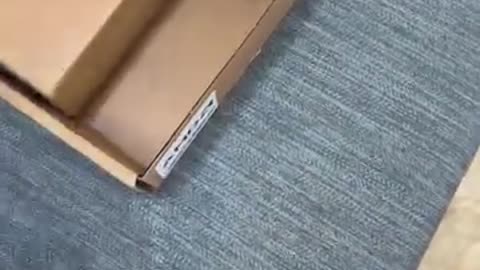 The Best Gaming Laptop I’ve Ever Used!