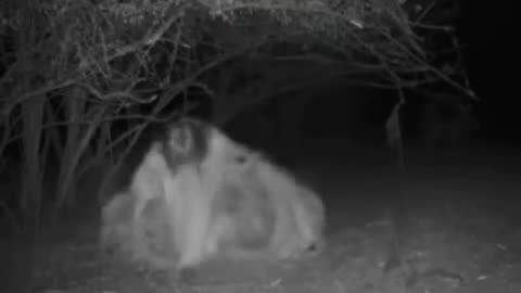😱👻 The Most Bizarre Ouija Board Session You'll Ever See! | TheHauntingHour
