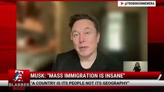 Musk: "Mass Immigration Is Insane"