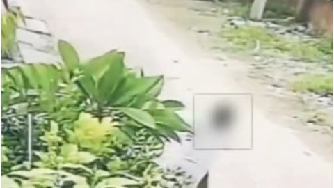 Bike-Riding Molester Attacks Class 12 Girl in Broad Daylight, CCTV Captures Everything