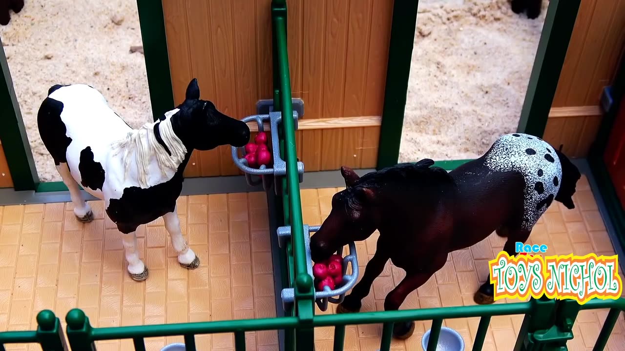 Planting Grass in the Backyard for Horse and Buffalo Feed
