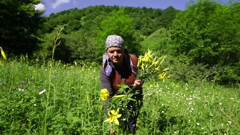 Wild Hogweed - Picking and Pickling - Winter Preparation in the Village