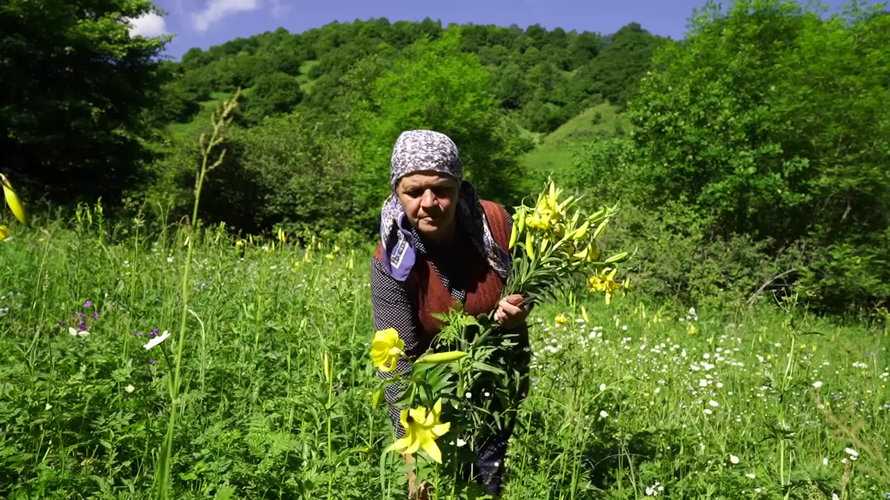 Wild Hogweed - Picking and Pickling - Winter Preparation in the Village