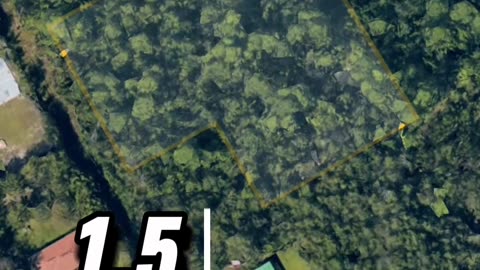 Would you do it? Good idea.