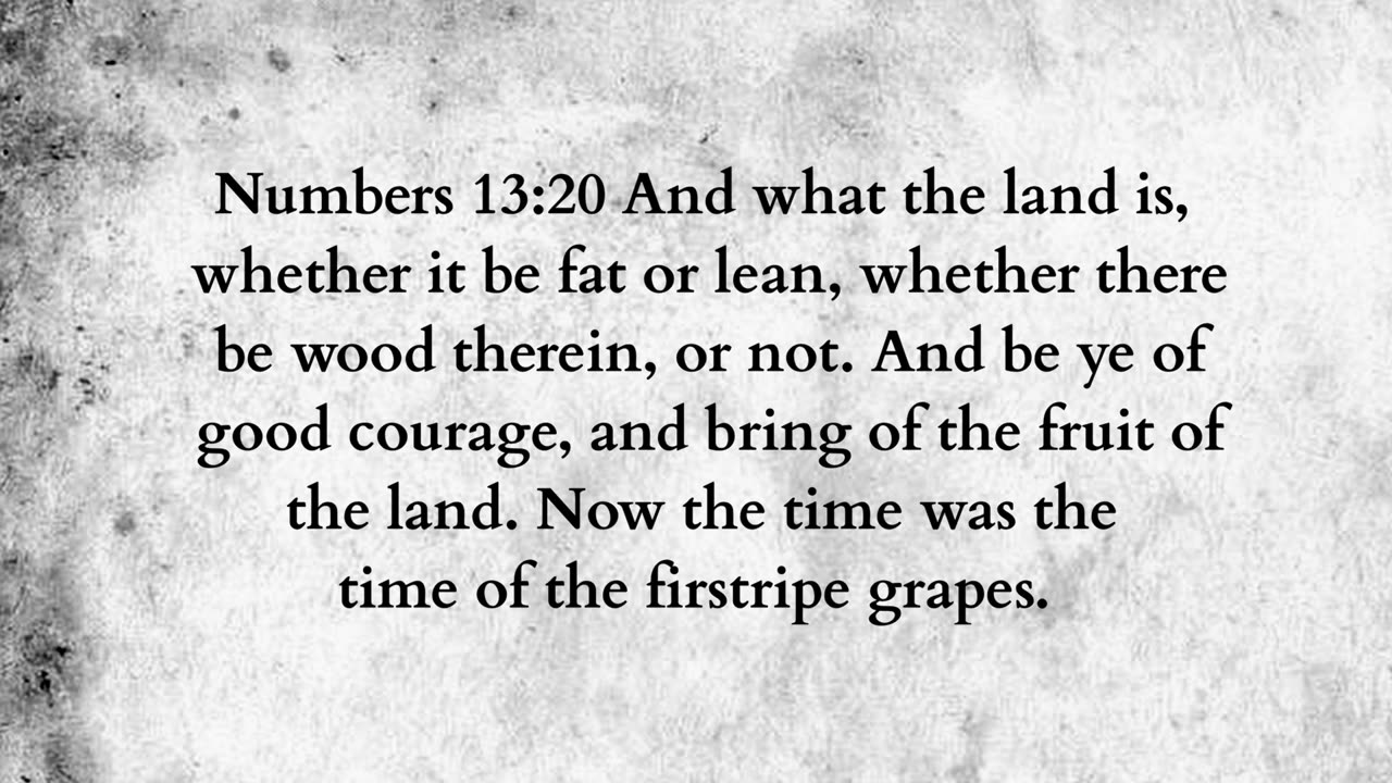 Martus Ministry -329- Grape Exodus