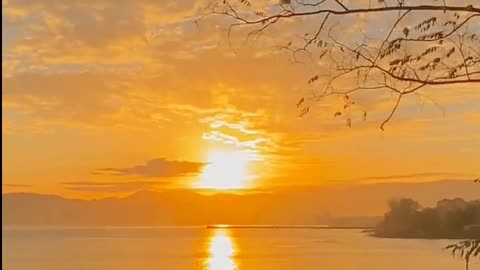 Daily Horoscope | Leo 🌟