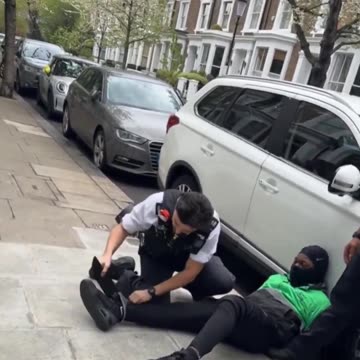 Scholar, doctor or what?