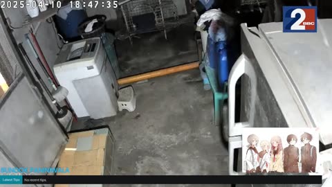 Mitsubishi Xpander 2019 Live