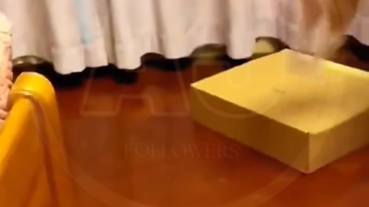 Funny video