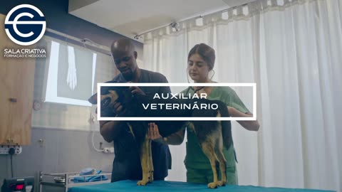 Curso Auxiliar de Veterinária