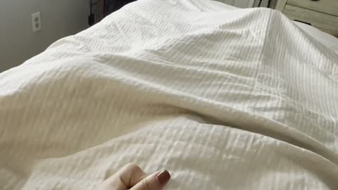 Woman Summons a Sandworm Puppy