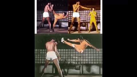 Bruce Lee