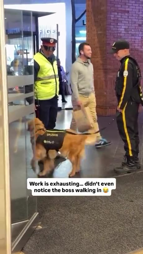 Getting caught by the boss as a slacker 🤣