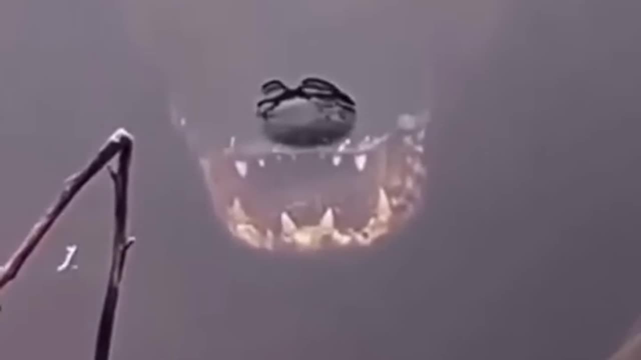 types of scary crocodiles