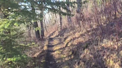 A Winter Hike