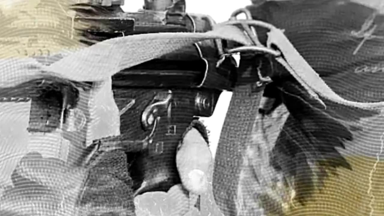 The Art of Stealth: How MARCOS Commandos Operate in Enemy Territory