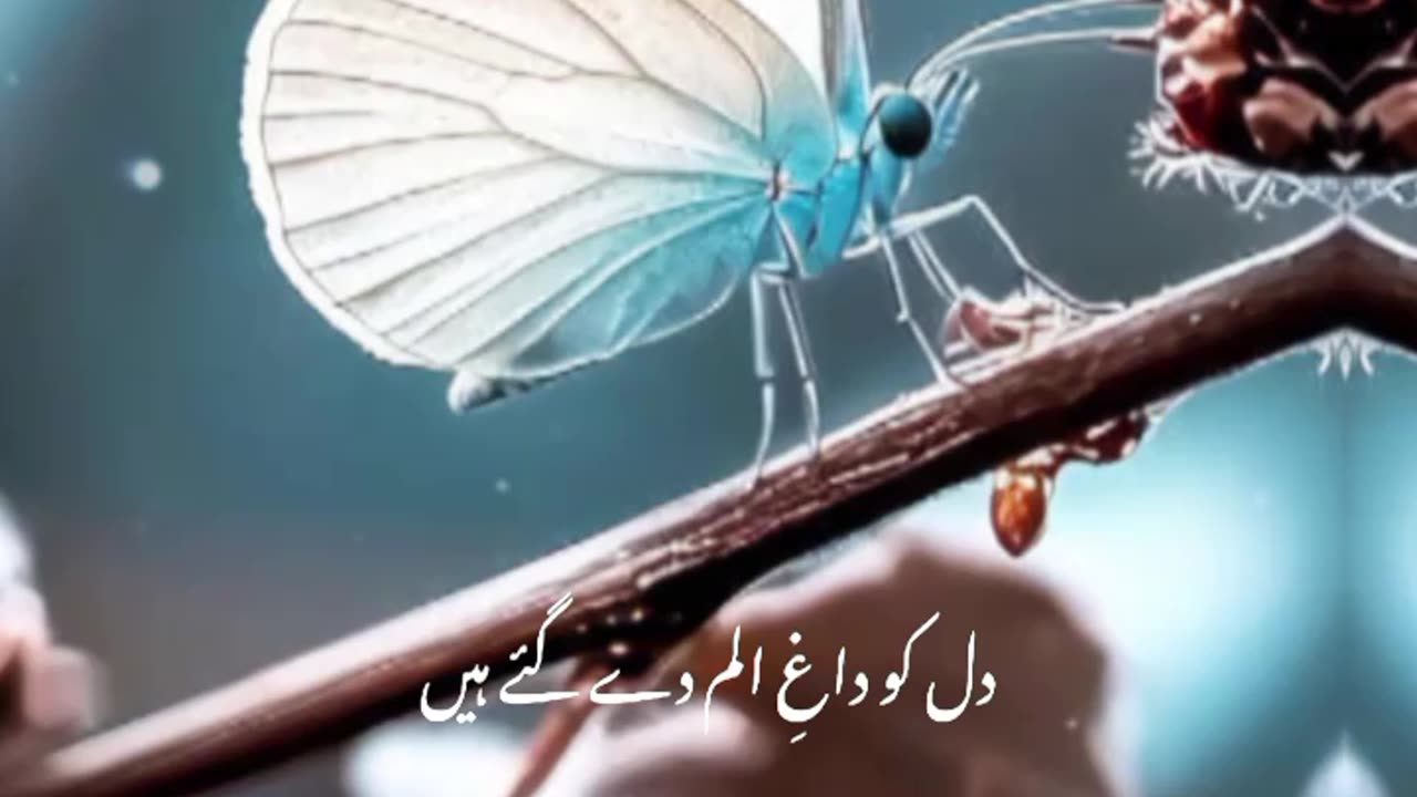 Meri ankhon ko bakhshy hain ansoo