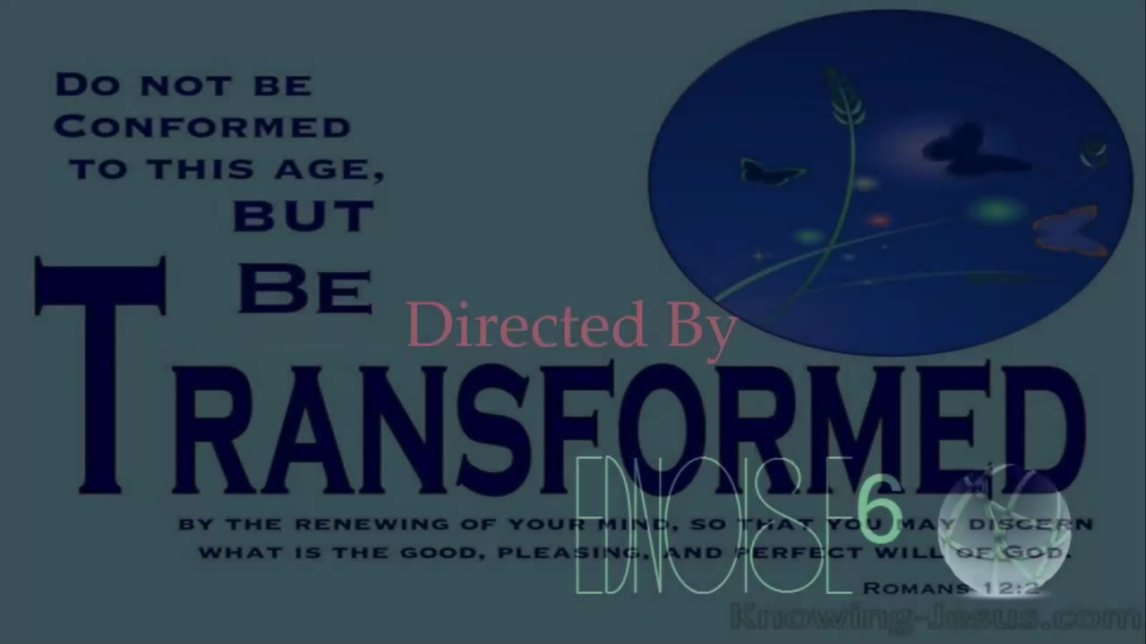 Rare of Breed ~ Not the Same { Live + Lyrics } Remix 1 { Dance Ver. } Christcore PC FX
