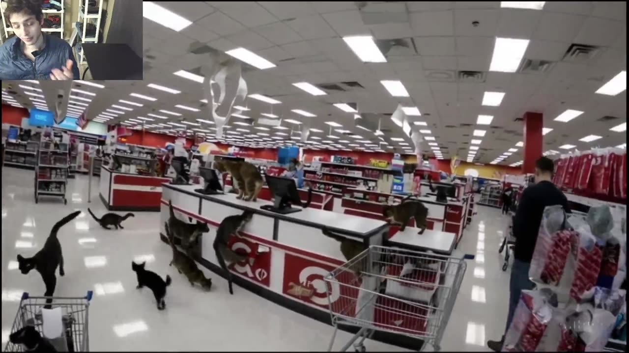 Outtake #1,046 Of Over 5 Cats Roam Around A Target Store Fake Funny Parody Video