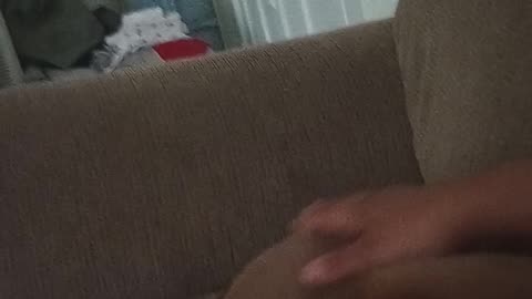 Lilly aka Lillian the 🐕🐶