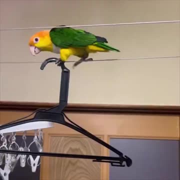 Every movie cliff hanger scene 😂