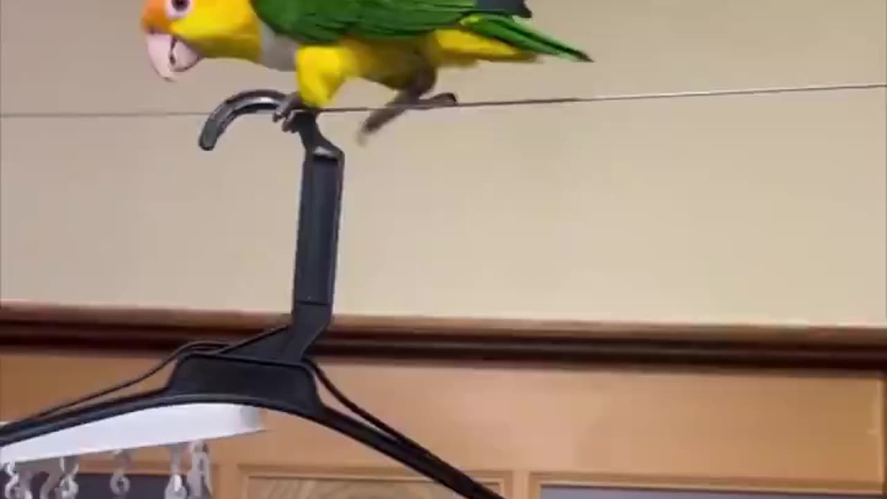 Every movie cliff hanger scene 😂