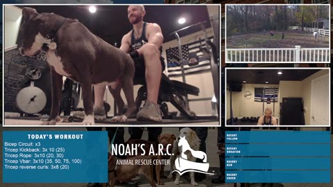 LBL Session w/Hank-a-Tank [Week 17] - Gunz, Gunz, Gunz // Animal Rescue Stream :)
