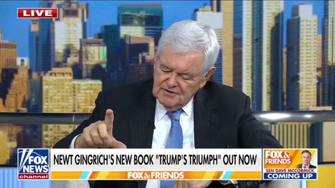 Democrats' most recent Trump slur is ridiculed by Newt Gingrich: "This is