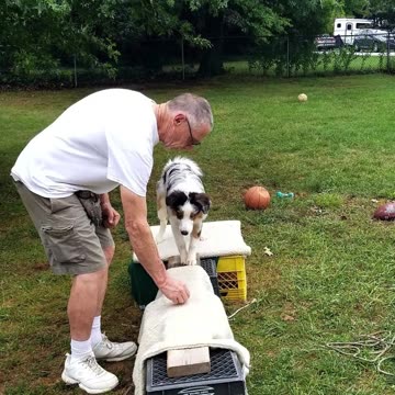 Platform & Balance Beam sections 5