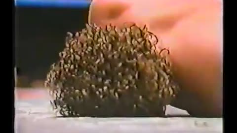 WWF Prime Time Wrestling Feb 26 1985 *poor vq*