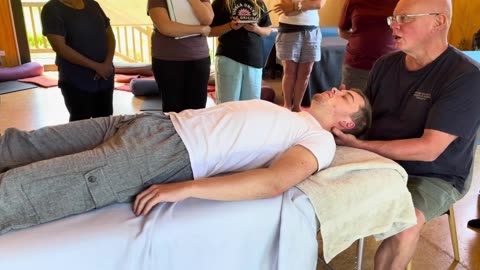 Face and Head Massage by Naturopath Brandon Raynor