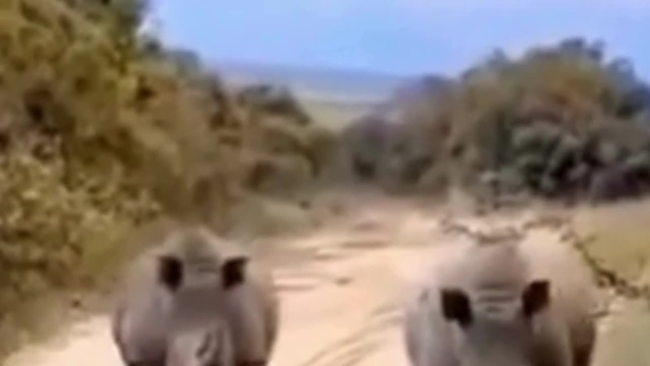 💋 Now we are the Boss Here