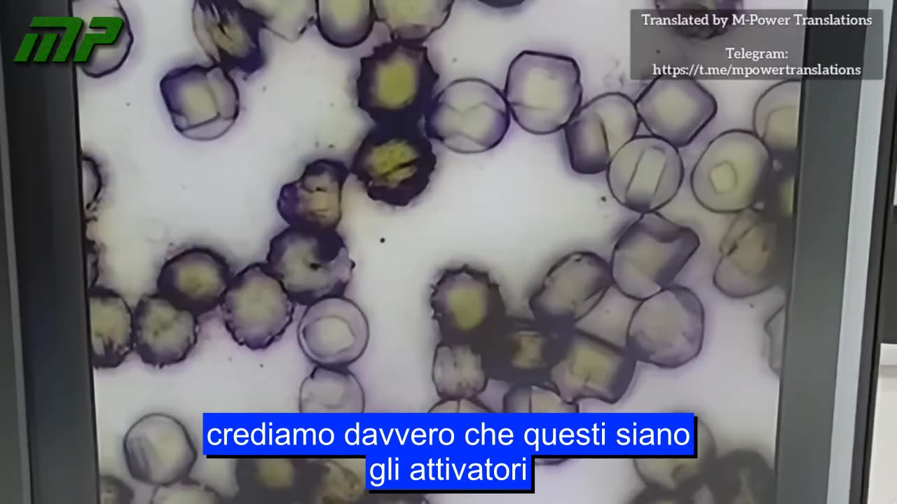 Sangue sintetico con presenza di nanotecnologia all'interno dei globuli rossi.