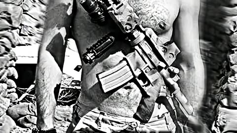 I Refused To Join Seal Team 6 to Become The Next Donald Trump - Shawn Ryan #podcast #military